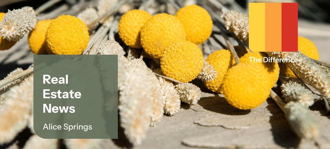 LJHAS NEWSLETTER - PRINT (CMYK) (1)